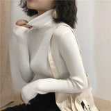 Turtleneck Sweater Womens 2026 Autumn Winter Tops Korean Slim Women Pullover Jumper Knitted Sweater Pull Femme Hiver Truien