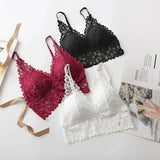 Lace Sexy Lingerie Wireless Bra For Women Padded Push Up Bralette Female Brassiere Soft Backless Fashion Bras Underwear