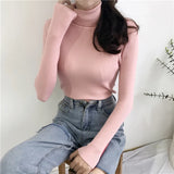 Turtleneck Sweater Womens 2026 Autumn Winter Tops Korean Slim Women Pullover Jumper Knitted Sweater Pull Femme Hiver Truien