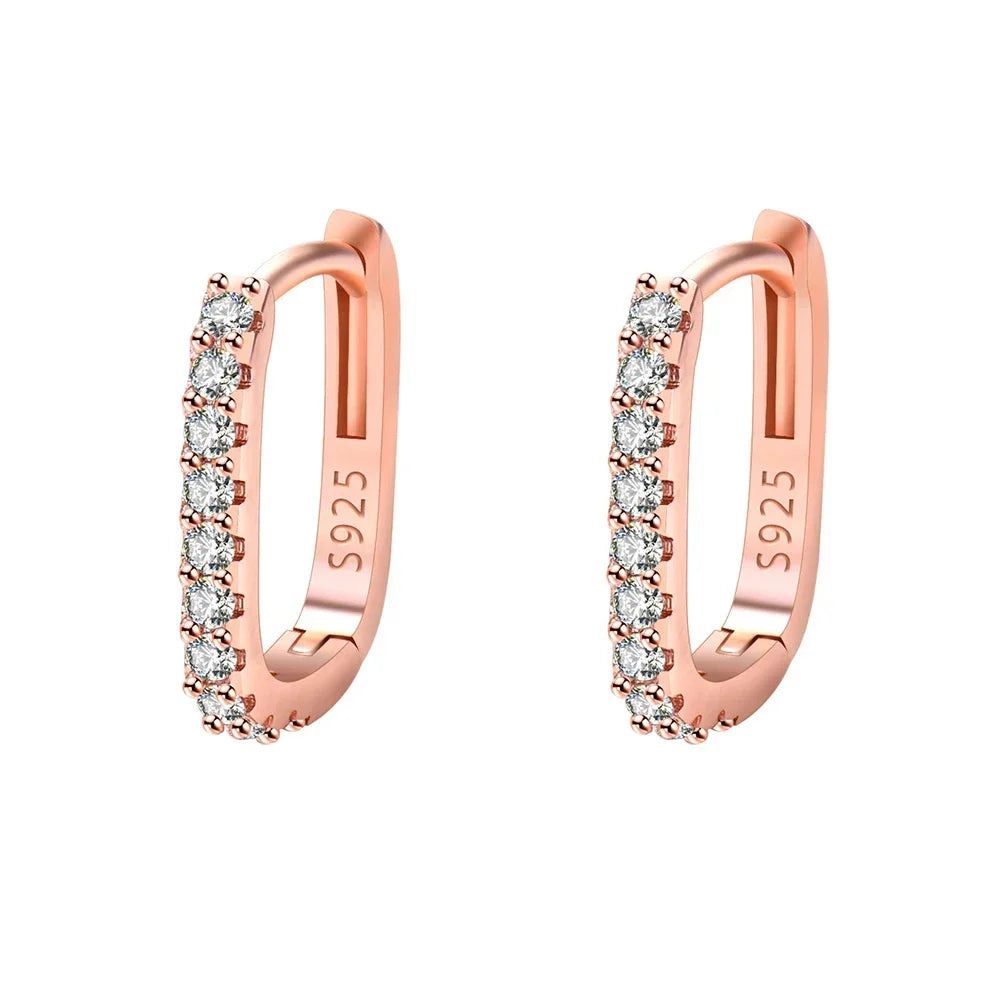 Hot Popular 925 Sterling Silver Charms Crystal Jewelry Fashion Zircon Circle Hoop Earrings For Woman Lady Wedding Party Gift