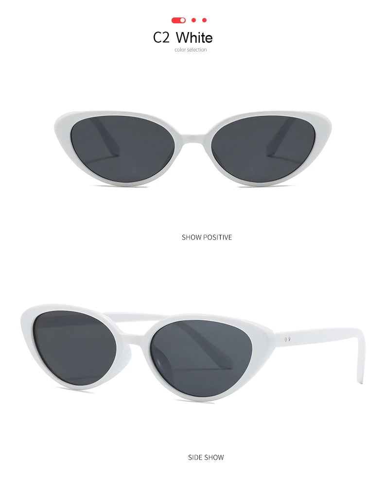 2pcs Retro Small Cat Eye Sunglasses for Women Men Rivet Design Fashion Triangle Sun Glasses Cute Style Multi Color Eyeglasses