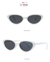 2pcs Retro Small Cat Eye Sunglasses for Women Men Rivet Design Fashion Triangle Sun Glasses Cute Style Multi Color Eyeglasses