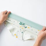 High Waist 4Pcs/Set Cotton Panties Women Body Shaper Fashion Briefs Plus Size M-4XL Underwear Breathable Comfort Female Lingerie
