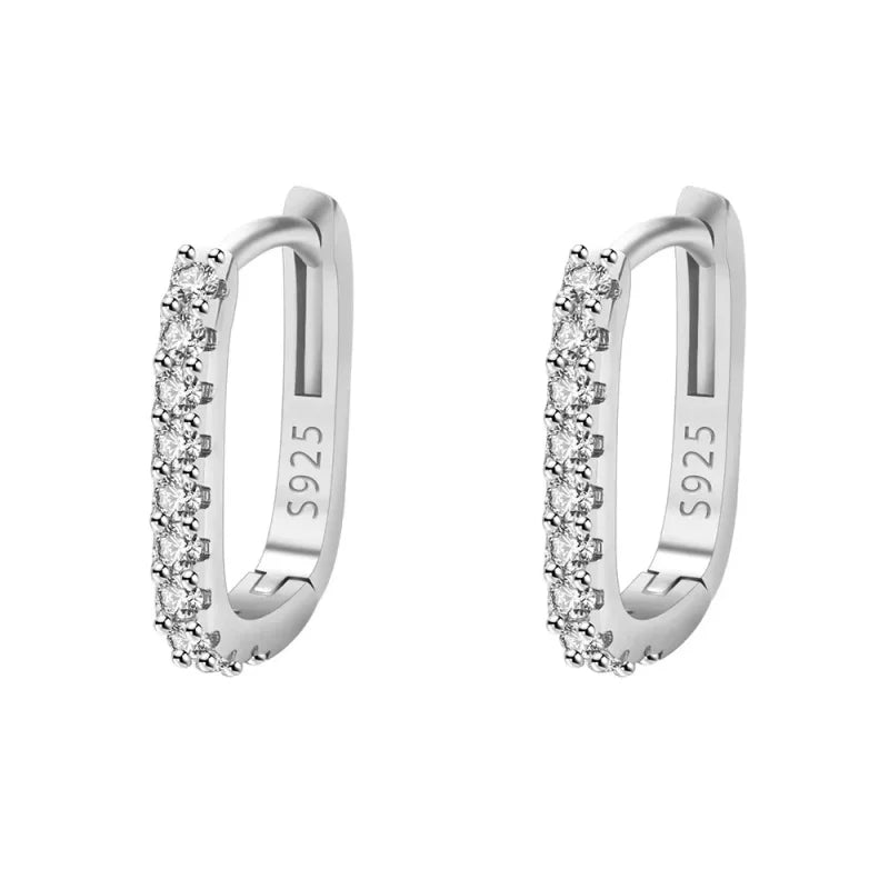 Hot Popular 925 Sterling Silver Charms Crystal Jewelry Fashion Zircon Circle Hoop Earrings For Woman Lady Wedding Party Gift