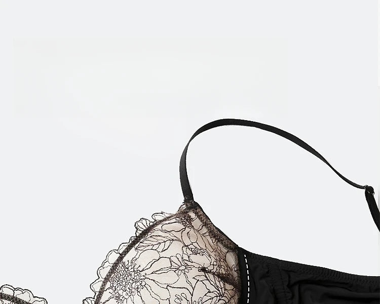 Summer Sexy Hot Ultra Thin Bra Set Women's  Lace Lingerie French Lingerie Underwear Everyday Bra  Unlined Minimizer Push-up Bra