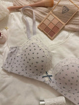 Teenage Sexy Lace Floral Bra Set Comfortable Non-steel Ring Beauty Back Small Breasts Gathered up Support Anti-Sagging Bra Set