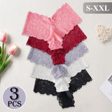 3PCS Elegant Women's Underwear V-shaped Waist Lace Floral Embroidery Panties Semi-Sheer Sexy Briefs Solid Color Lingerie