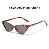 Hip-Hop Small Cat Eye Sunglasses Women Eyeglasses Eyewear with Retro Style Sunglasses