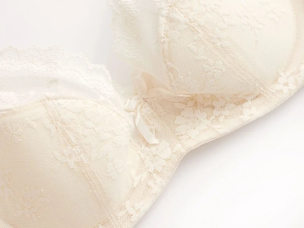 Summer Sexy Lace Embroidery Women Lingerie Set French Thin Cup Push Up Bra Comfort Breathable Underwear Ladies Bra Briefs Set