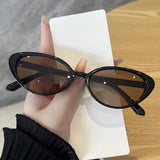2pcs Retro Small Cat Eye Sunglasses for Women Men Rivet Design Fashion Triangle Sun Glasses Cute Style Multi Color Eyeglasses