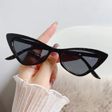 Hip-Hop Small Cat Eye Sunglasses Women Eyeglasses Eyewear with Retro Style Sunglasses
