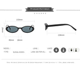 New Small Oval Sunglasses Women Men Trendy Vintage Hip Hop Cat Eye Sun Glasses Female Leopard Black Punk Eyewear UV400 Oculos
