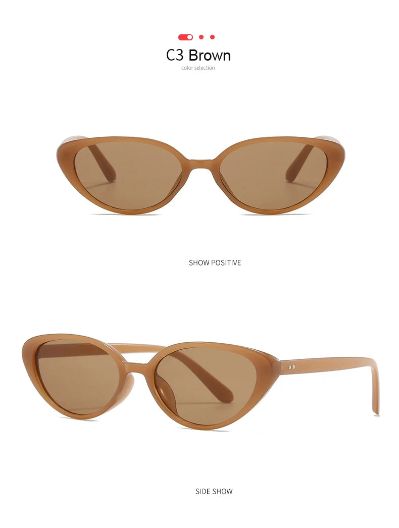 2pcs Retro Small Cat Eye Sunglasses for Women Men Rivet Design Fashion Triangle Sun Glasses Cute Style Multi Color Eyeglasses