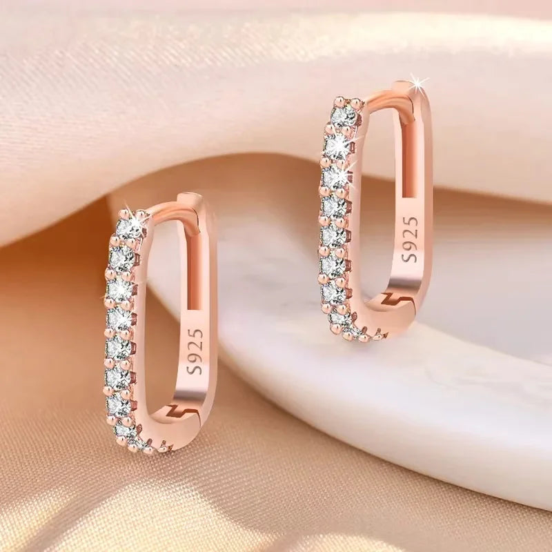 Hot Popular 925 Sterling Silver Charms Crystal Jewelry Fashion Zircon Circle Hoop Earrings For Woman Lady Wedding Party Gift