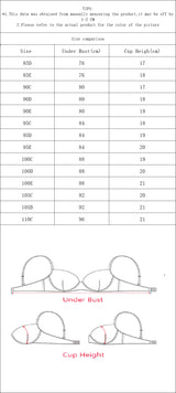 Women Plus Size Blue Floral Embroidered Lingerie Set Lace Trim Push Up Bra Stretchy Comfort Intimates For Curvy sexy Ladies 3562
