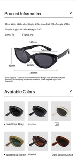Minimalist Oval Cat-eye Glasses Women's Fashion Outdoor Folding Sunglasses Sun Shading UV Sunscreen Glasses Stylish Accessory