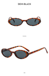 New Small Oval Sunglasses Women Men Trendy Vintage Hip Hop Cat Eye Sun Glasses Female Leopard Black Punk Eyewear UV400 Oculos
