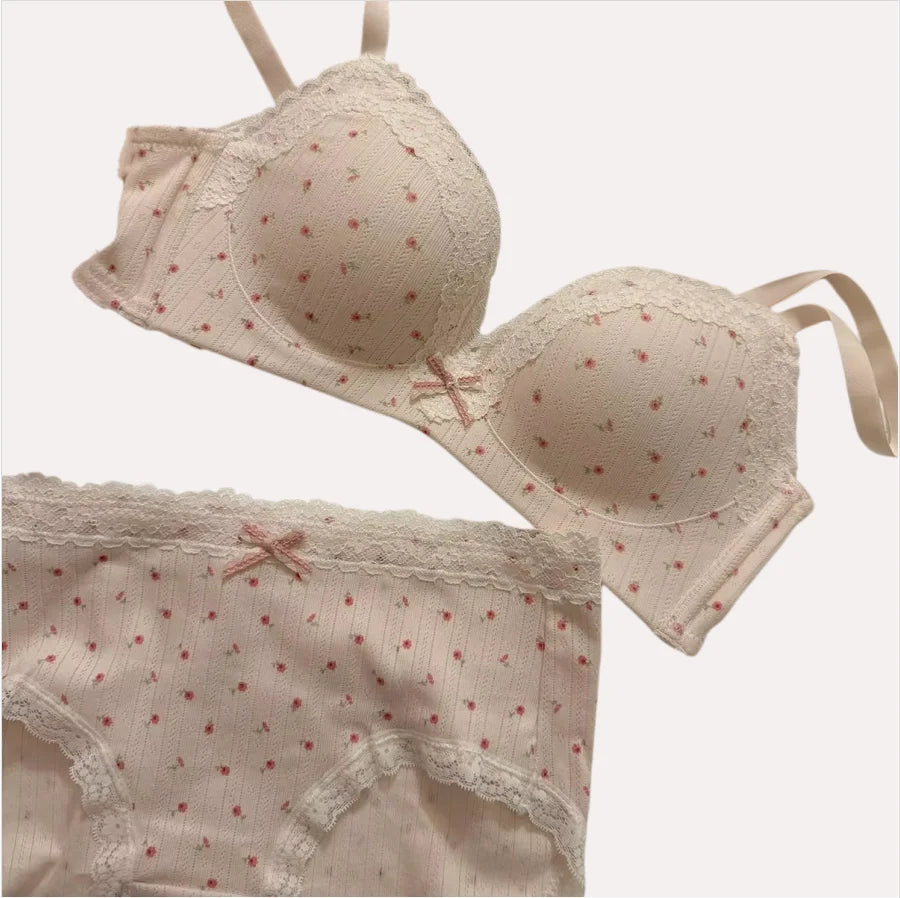 Teenage Sexy Lace Floral Bra Set Comfortable Non-steel Ring Beauty Back Small Breasts Gathered up Support Anti-Sagging Bra Set