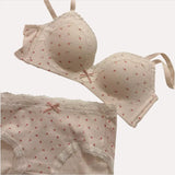 Teenage Sexy Lace Floral Bra Set Comfortable Non-steel Ring Beauty Back Small Breasts Gathered up Support Anti-Sagging Bra Set