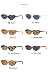 2pcs Retro Small Cat Eye Sunglasses for Women Men Rivet Design Fashion Triangle Sun Glasses Cute Style Multi Color Eyeglasses