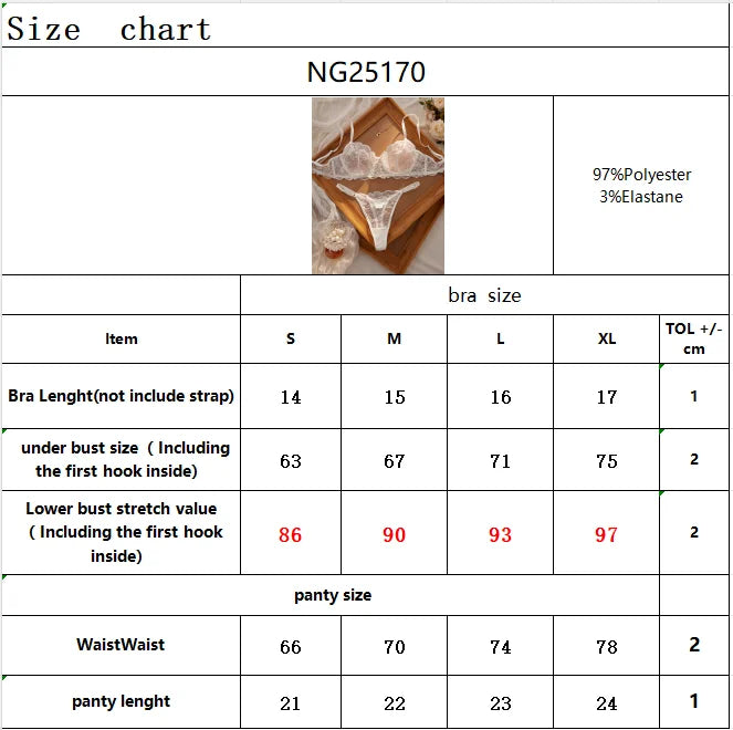Sexy Lace Floral Underwear Set Women's Ultra-Thin Bra Set 2-Piece Bra And Panties Combo for Ladies