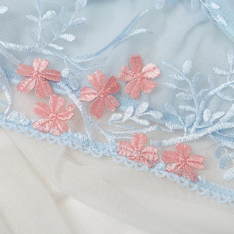 Lace Floral Embroidery See Through Bra Panties Set Women Underwear Erotic Sexy Lingerie Female 2 Pieces Bra Brief Sets