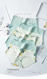 High Waist 4Pcs/Set Cotton Panties Women Body Shaper Fashion Briefs Plus Size M-4XL Underwear Breathable Comfort Female Lingerie
