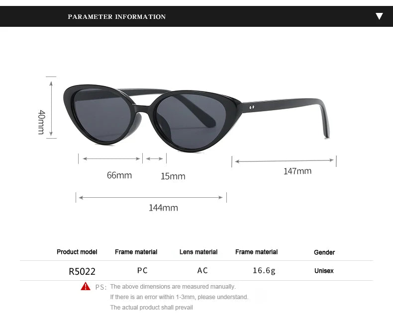 2pcs Retro Small Cat Eye Sunglasses for Women Men Rivet Design Fashion Triangle Sun Glasses Cute Style Multi Color Eyeglasses