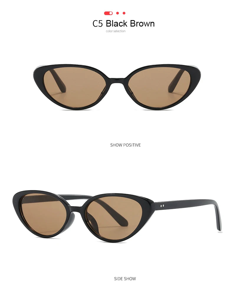 2pcs Retro Small Cat Eye Sunglasses for Women Men Rivet Design Fashion Triangle Sun Glasses Cute Style Multi Color Eyeglasses