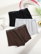 3Pcs Women's Panties Cotton Seamless Sports Boxers Underwear Female Solid Color Briefs Lingerie Intimate Underpant Finetoo S-XXL
