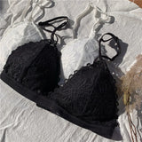 French Lace Triangle Up Lace Bralette No Steel Ring Seamless Bras Sexy Women Thin Pad Bra Summer Breathable Brassier