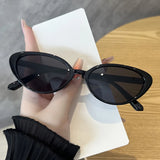 2pcs Retro Small Cat Eye Sunglasses for Women Men Rivet Design Fashion Triangle Sun Glasses Cute Style Multi Color Eyeglasses