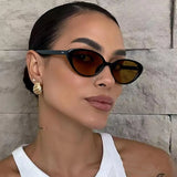 2pcs Retro Small Cat Eye Sunglasses for Women Men Rivet Design Fashion Triangle Sun Glasses Cute Style Multi Color Eyeglasses