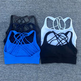 New Fitness Sports Bra for Women Push Up Cross Back Shockproof Running Gym Training Workout Yoga Underwear Crop Tops
