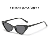 Hip-Hop Small Cat Eye Sunglasses Women Eyeglasses Eyewear with Retro Style Sunglasses