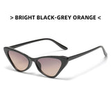 Hip-Hop Small Cat Eye Sunglasses Women Eyeglasses Eyewear with Retro Style Sunglasses