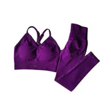 Seamless Yoga Set Women High Waist Scrunch Leggings V Neck Sports Bra 2 Piece Workout Fitness Clothing Quick Dry Gym Suit
