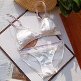 French Style Bralette No Underwire, Sexy Lace Trim Small Cup Lingerie, Cute 3-Piece Bra Set with Comfort Cup Shape Design S-xl