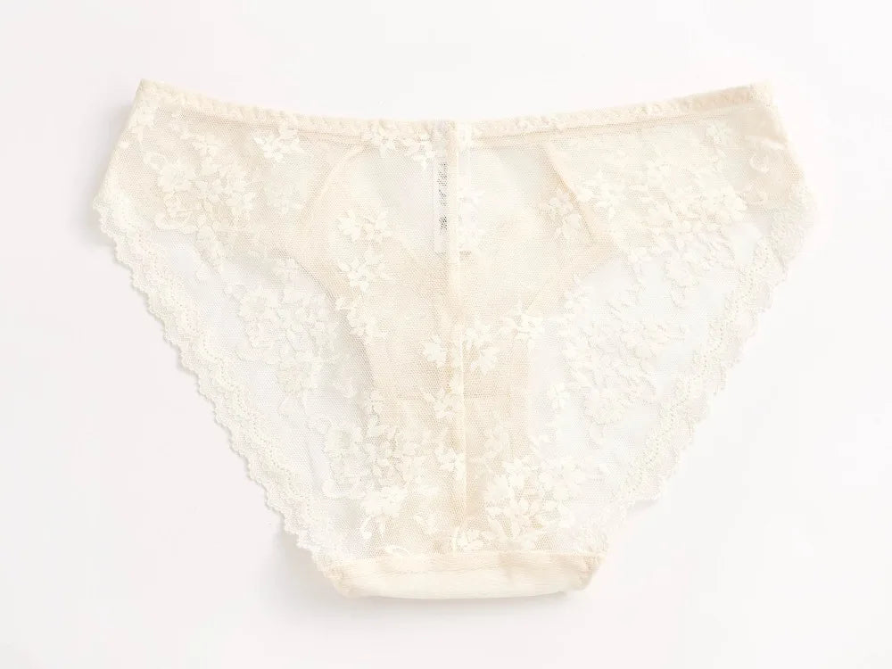 Summer Sexy Lace Embroidery Women Lingerie Set French Thin Cup Push Up Bra Comfort Breathable Underwear Ladies Bra Briefs Set